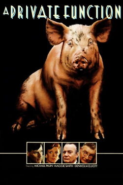 Función privada (1984)