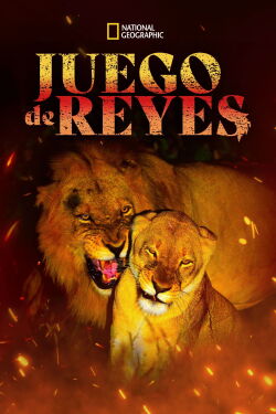 Game of Lions (2013)