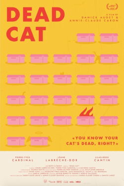 Gato muerto (2023)