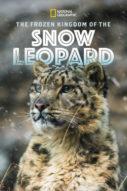 Geisterkatzen - Im Tal der Schneeleoparden (2020)