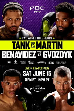 Gervonta Davis vs. Frank Martin (2024)