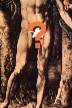 Geschlechtsorgane (1983)