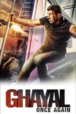 Ghayal 2 – Wahrheit um jeden Preis (2016)