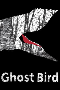 Ghost Bird (2009)