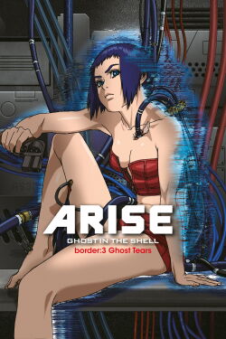 Ghost in the Shell Arise - Border 3 : Ghost Tears (2014)