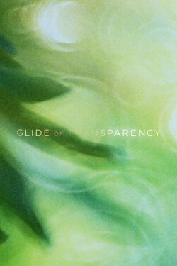 Glide of Transparency (2016)