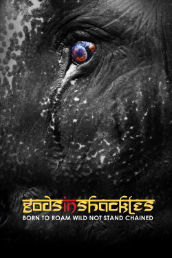 Gods in Shackles (2016)