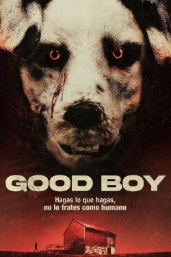 Good Boy (2022)