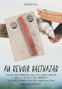Goodbye Balthazar (2016)