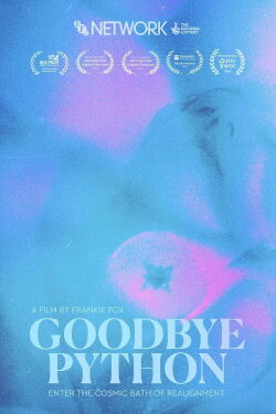 Goodbye Python (2023)
