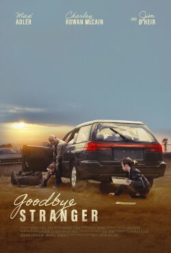 Goodbye Stranger (2025)