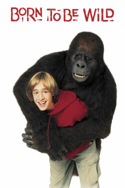 Gorilla auf der Flucht (1995)
