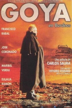 Goya in Bordeaux (1999)