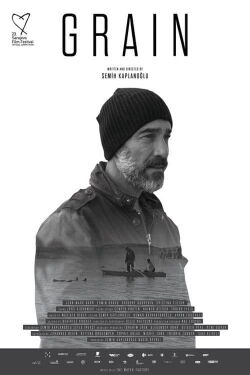 Grain – Weizen (2017)