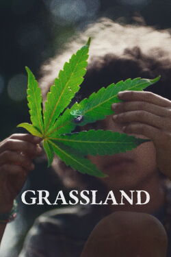 Grassland (2025)