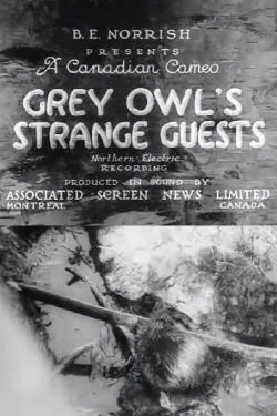 Grey Owl's Strange Guests (1934)
