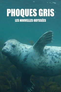 Grey Seals: A Journey of Survival (2016)