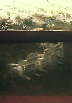 Group VIII: Hidden Tracings/Exposed Fragrances (1980)