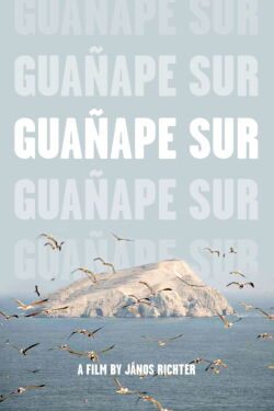 Guañape sur (2011)