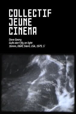 Gulls Don’t Fly On Light (1979)