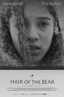 Hair of the Bear (2026)