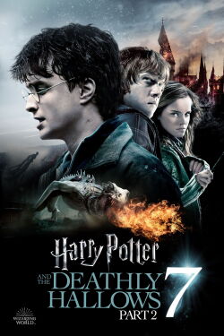Harry Potter and the Deathly Hallows: Part 2 (2011)