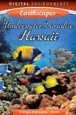 Hawaii Underwater Paradise (2008)