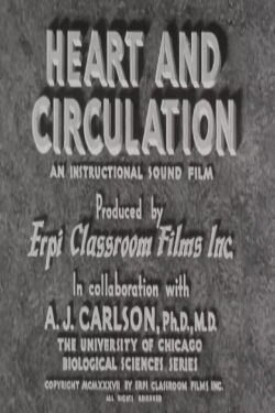 Heart and Circulation (1937)