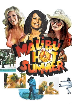 Heißer Strand U.S.A. (1981)