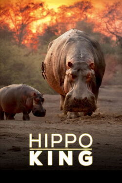Hippo King (2022)