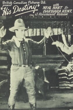 His Destiny (1928)