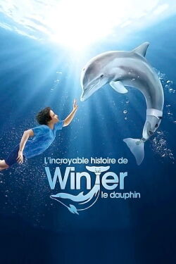 Histoire de dauphin (2011)