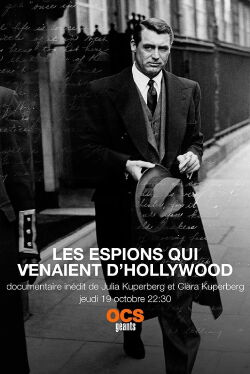 Hollywood Spies (2017)