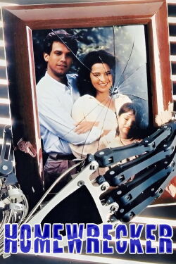 Homewrecker (1992)