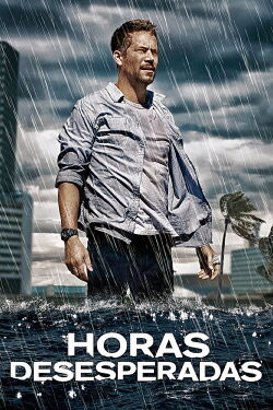 Horas desesperadas (2013)