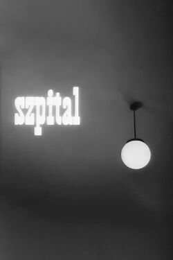 Hospital (1962)
