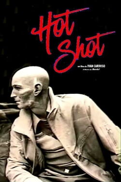Hot Shot (2006)