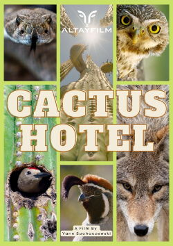 Hotel Cactus (2023)