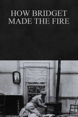How Bridget Made the Fire (1900)