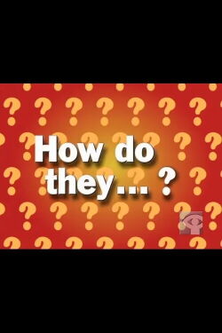 How Do They Make Oatmeal Cookies? (1999)