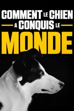 How dogs conquered the world (2020)