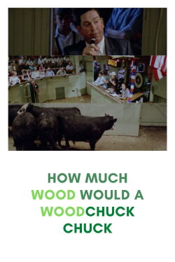 How Much Wood Would a Woodchuck Chuck (1976)