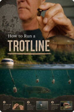 How to Run a Trotline (2024)