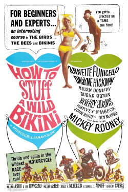 How to Stuff a Wild Bikini (1965)