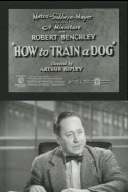 How to Train a Dog (1936)