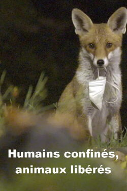Humains confinés, animaux libérés (2023)