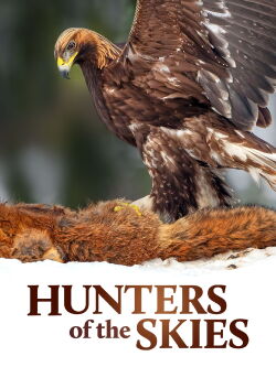 Hunters of the Skies (2018)