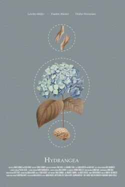 Hydrangea (2021)