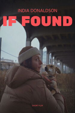 If Found (2021)