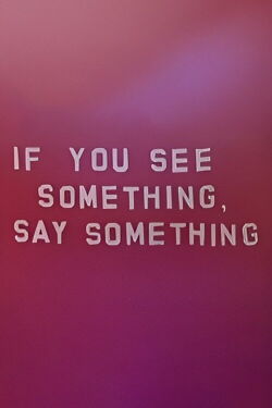 If You See Something, Say Something (2006)